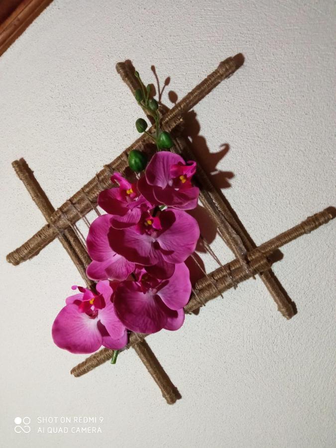 Casa Dos Grilos Penacova Buitenkant foto