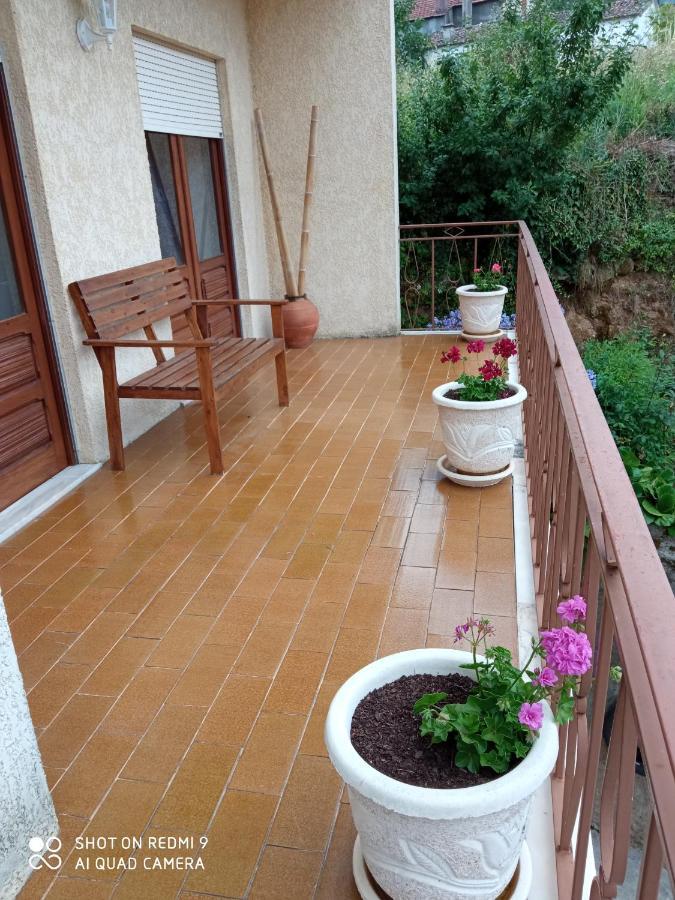 Casa Dos Grilos Penacova Buitenkant foto