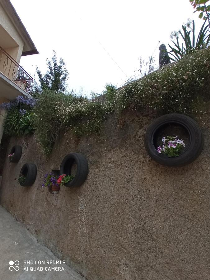 Casa Dos Grilos Penacova Buitenkant foto