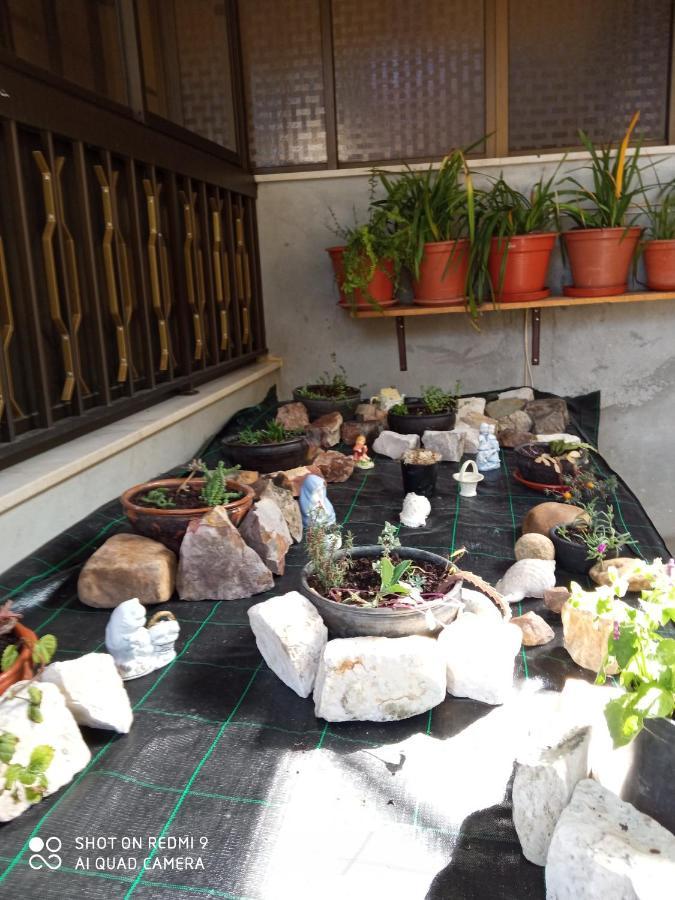 Casa Dos Grilos Penacova Buitenkant foto