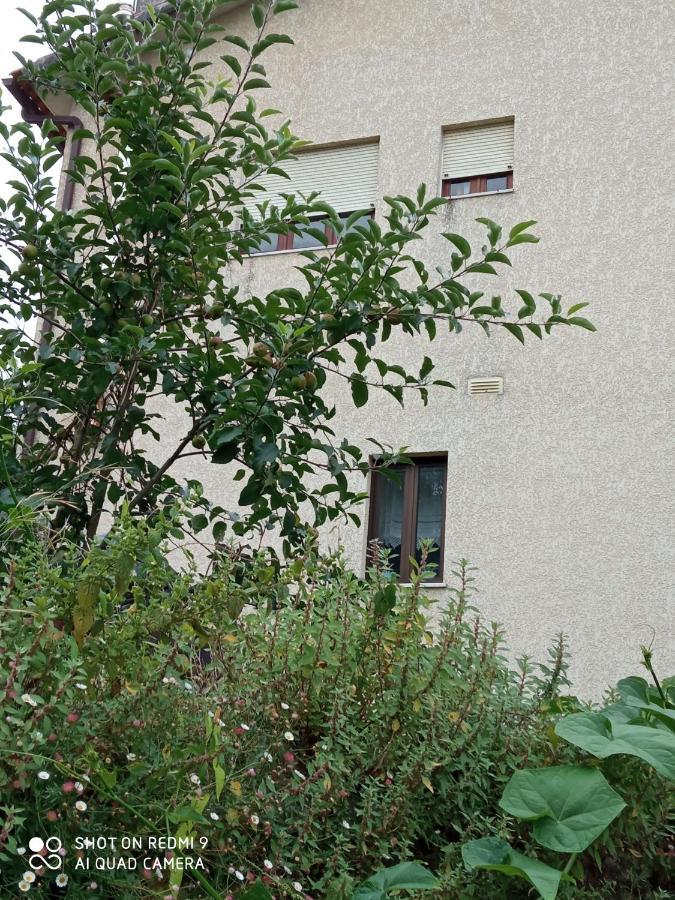 Casa Dos Grilos Penacova Buitenkant foto
